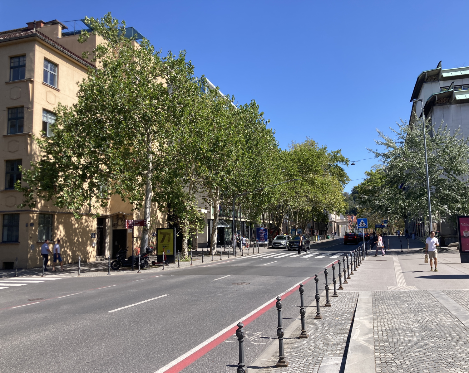 ulica v ljubljani, na levi so drevesa, na desni plocnik